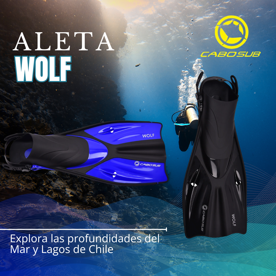 Aleta Wolf - CaboSub