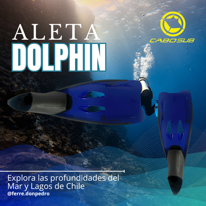 Aleta Buceo Dolphin Azul