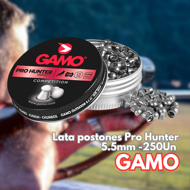 POSTÓN GAMO 5.5 PRO HUNTER 250Un