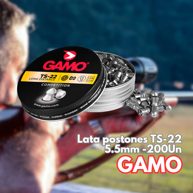 POSTÓN GAMO 5.5 TS-22 200Un