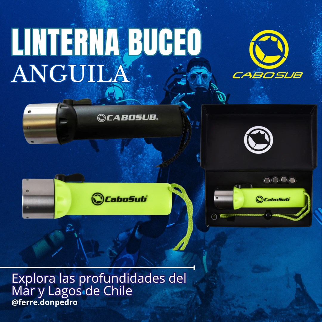 Linterna ANGUILA Cabo Sub NEGRO/AMARILLO
