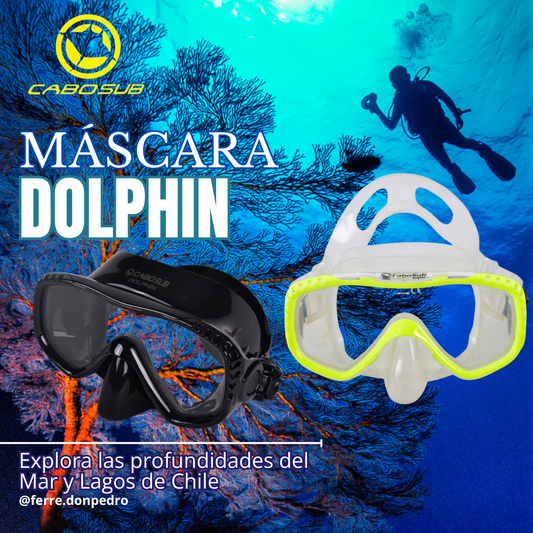 Máscara Buceo Dolphin