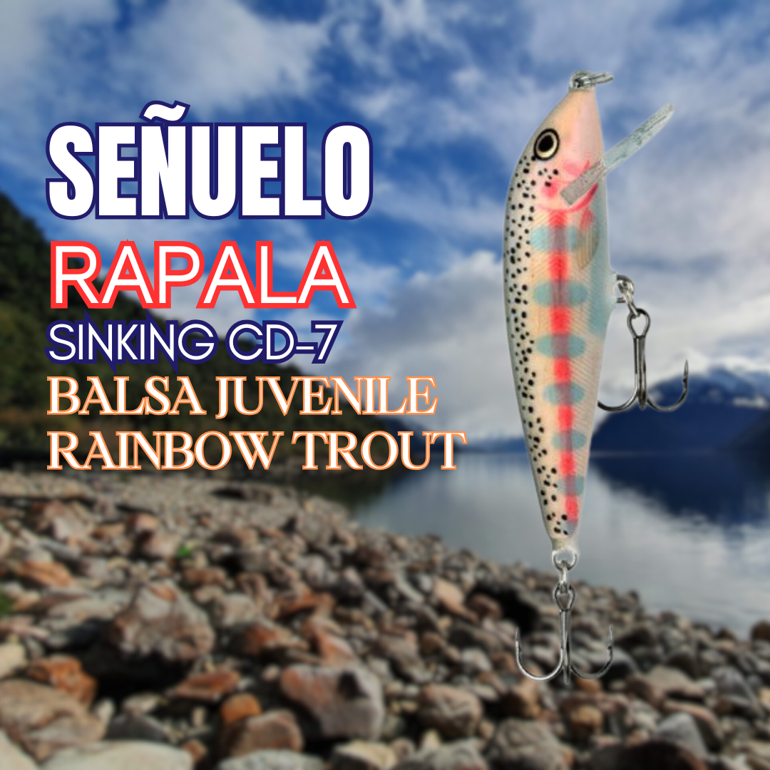 Rapala Sinking CD-7 Balsa Juvenile RT