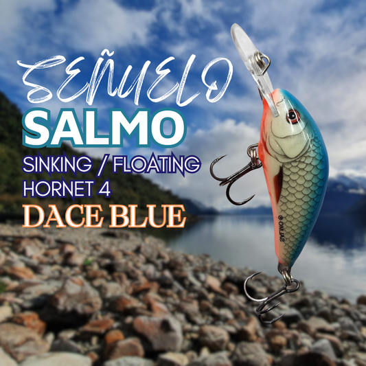 Salmo Hornet 4 Sinking Dace Blue
