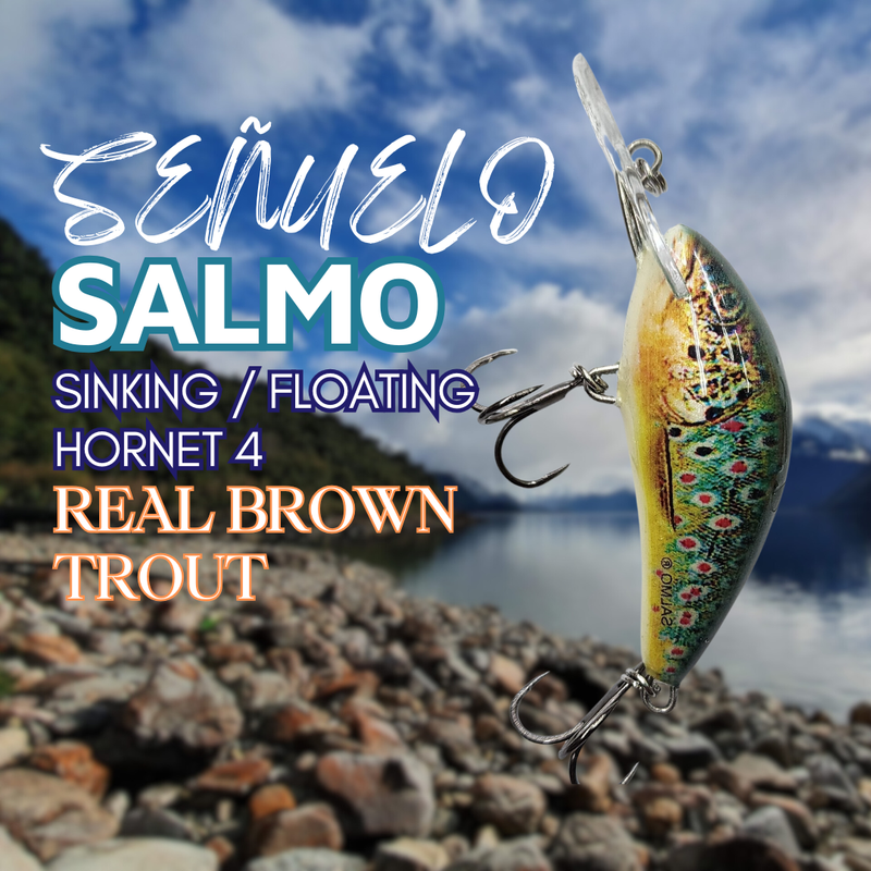 Salmo Hornet 4 Sinking Real Brown Trout