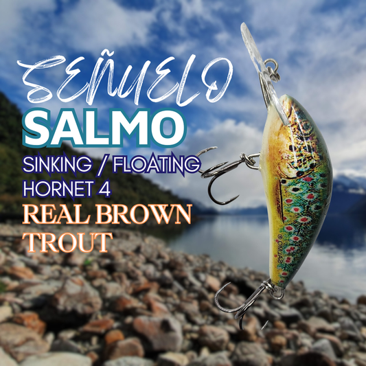 Salmo Hornet 4 Sinking Real Brown Trout