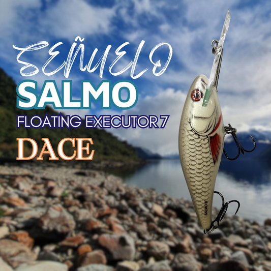 Salmo Floating Executor 7 DACE