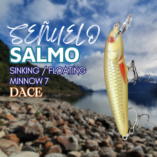 Salmo Floating Minnow 7 Dace