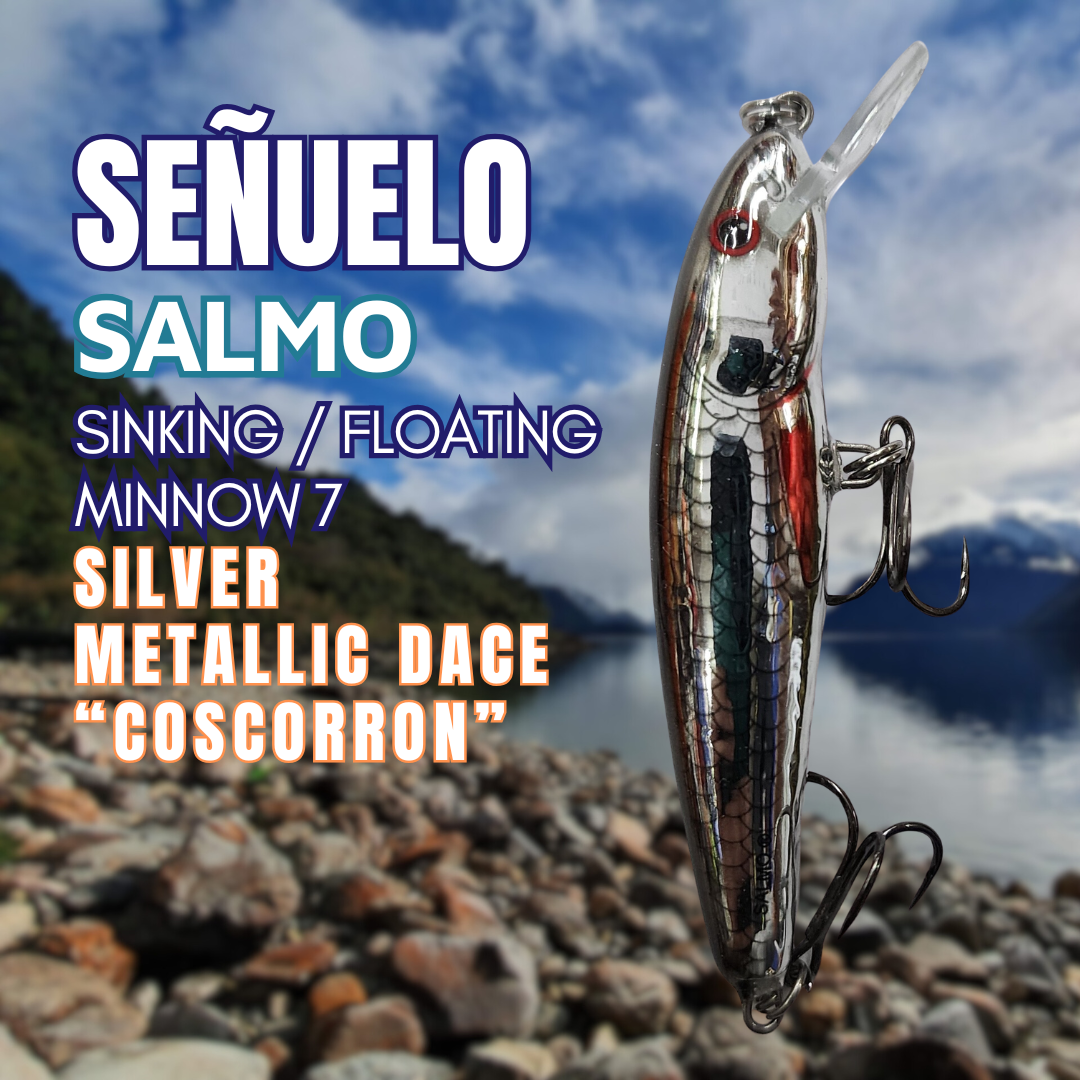 Salmo Minnow 7 Silver Metallic Dace